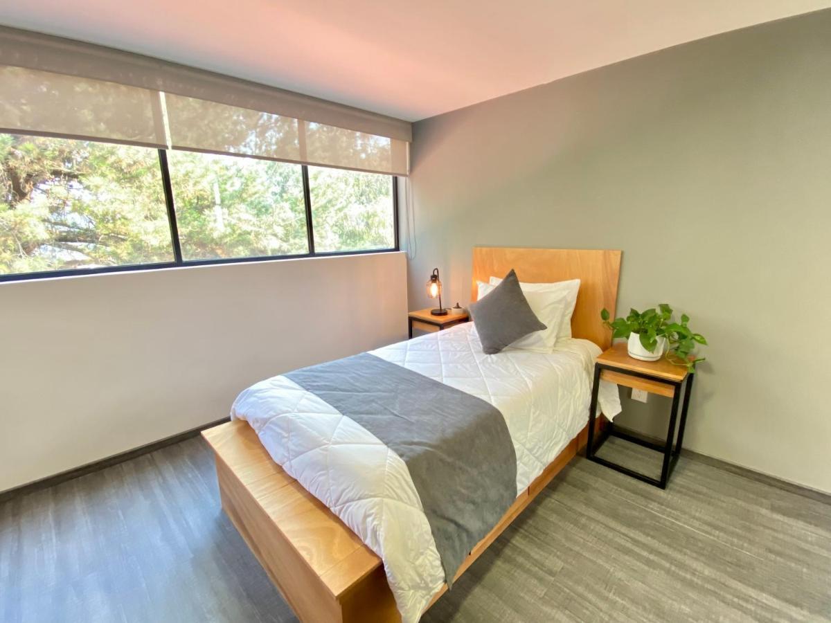 멕시코 시 Casa Bonsai B&B 외부 사진